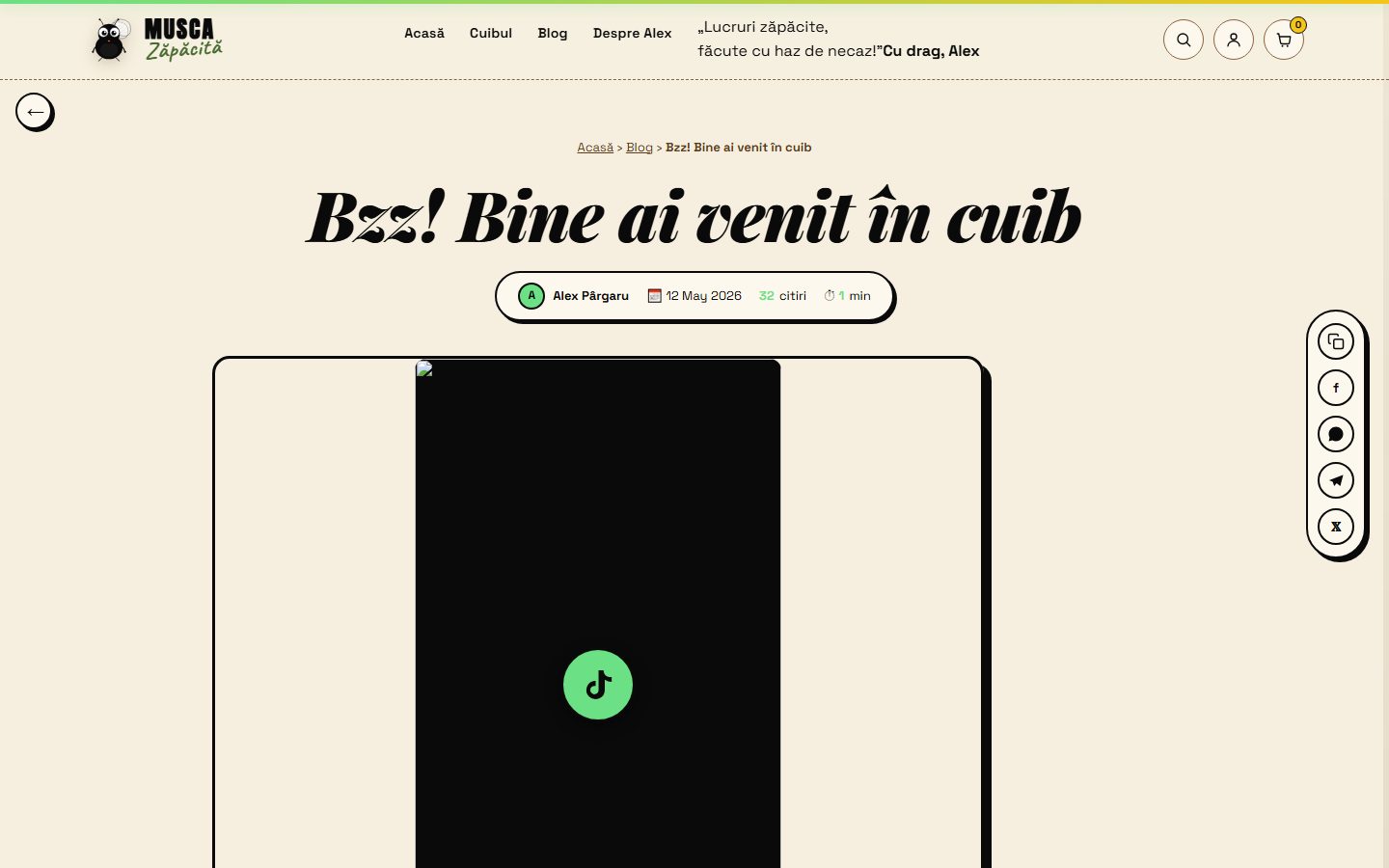 Musca Zăpăcită — brand de streetwear cu magazin online complet