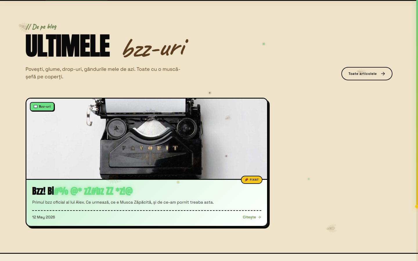 Musca Zăpăcită — brand de streetwear cu magazin online complet