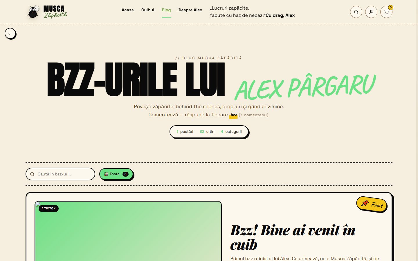 Musca Zăpăcită — brand de streetwear cu magazin online complet